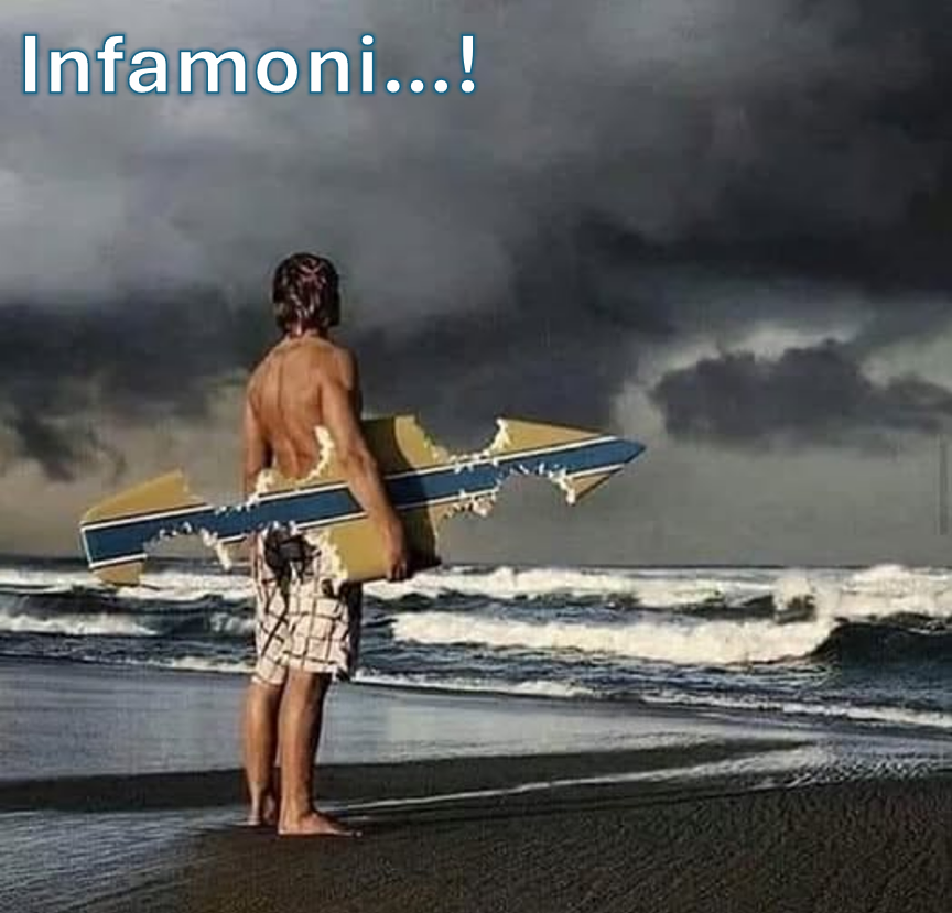 Antonio Campo tweet media