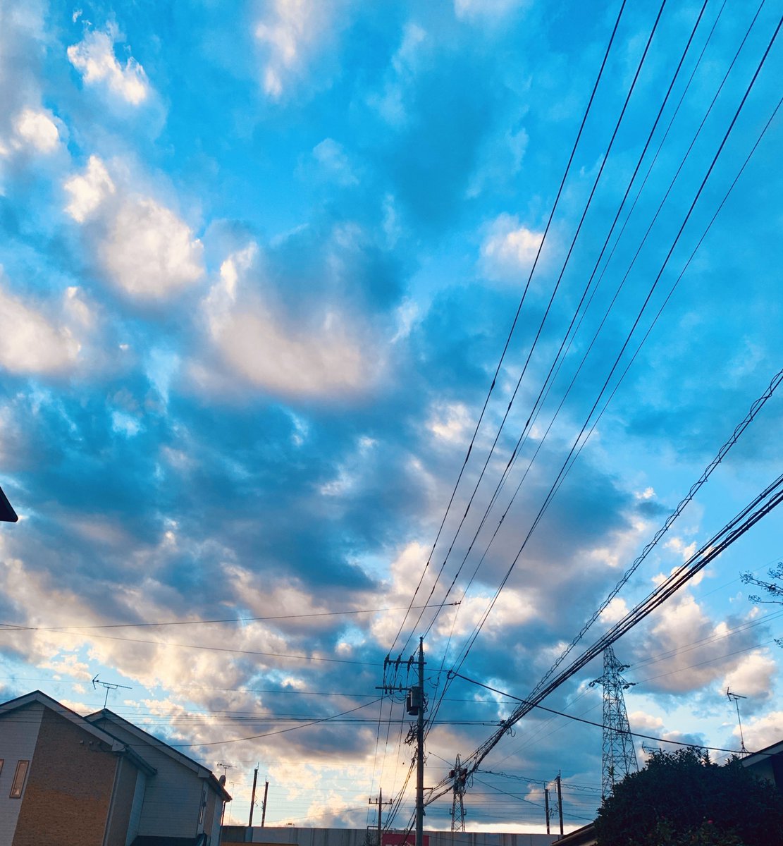 0_skyblue's tweet photo. 空制作タイムラプス＆撮った写真

何気なく見上げた空が美しすぎたので思わずパシャリ📸
その風景を描いてみました！ https://t.co/aaEvf7XJeX