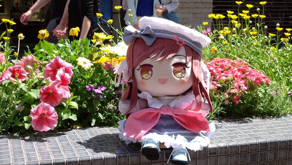 DOIchan! tweet media