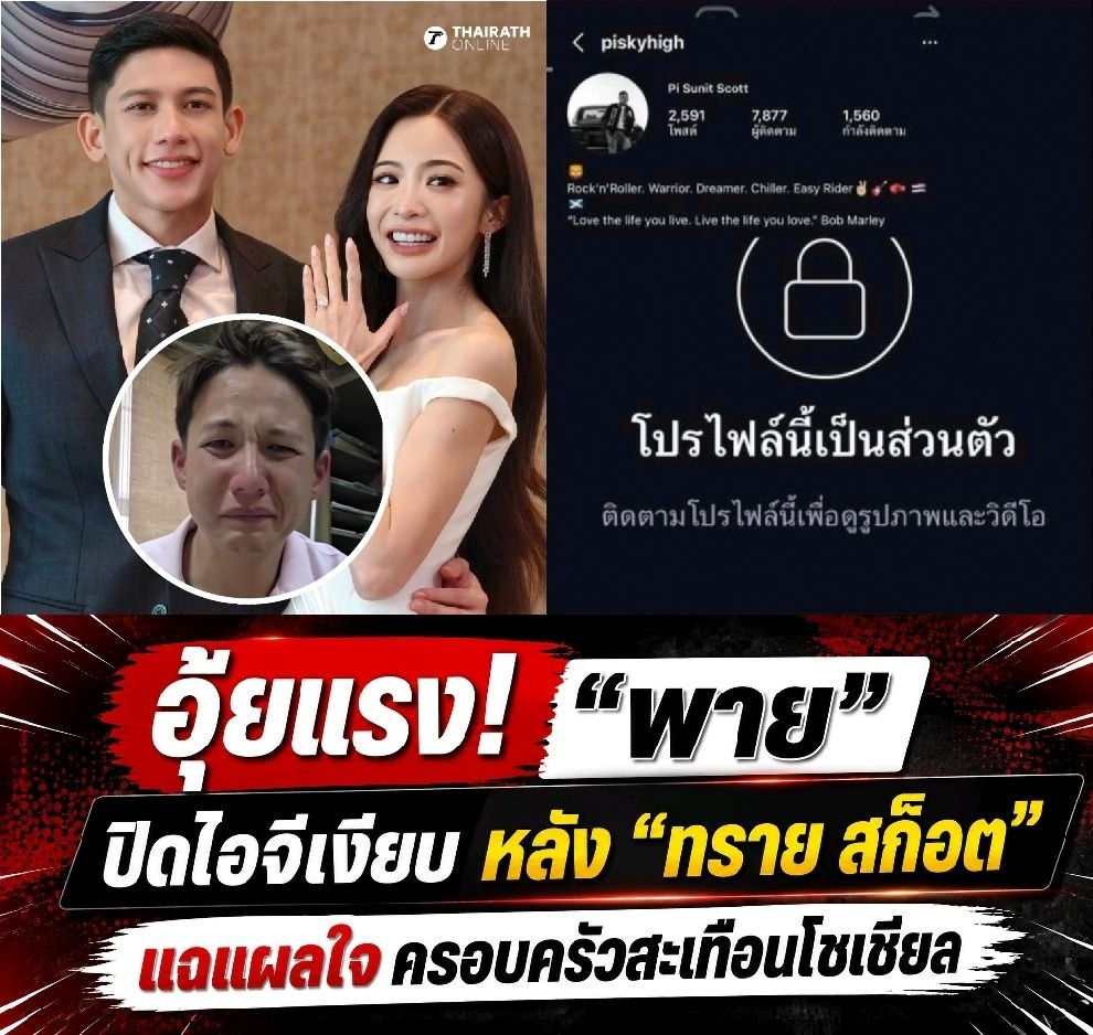 🎀🐰🌹🐻🐸🐶🐈‍⬛🐬 tweet media