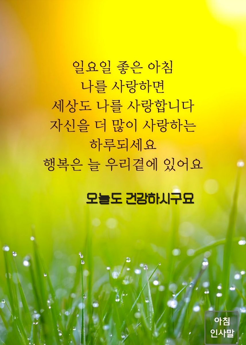 으르신 카톡 짤 모음👍 tweet media