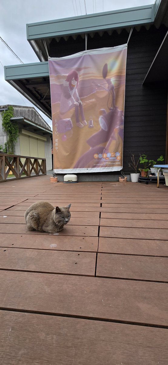 カラキ tweet media