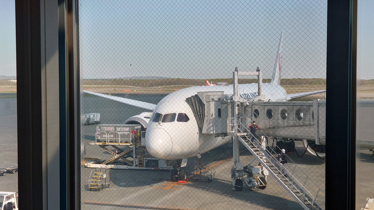JALの787は久しぶり✈️