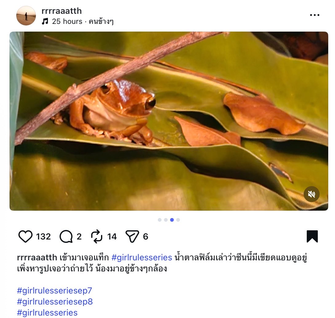 มฝ.หัวใจนฟ. tweet media