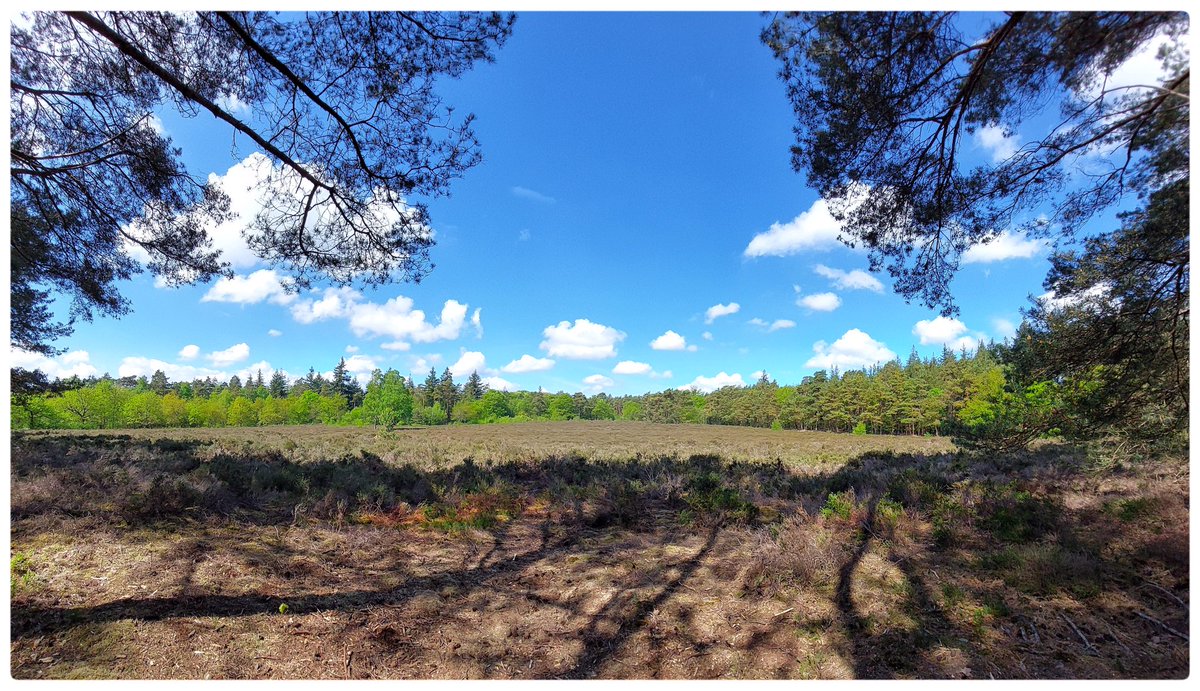 pjvs66's tweet photo. Mooie zondag! #veluwe https://t.co/r92sposRab