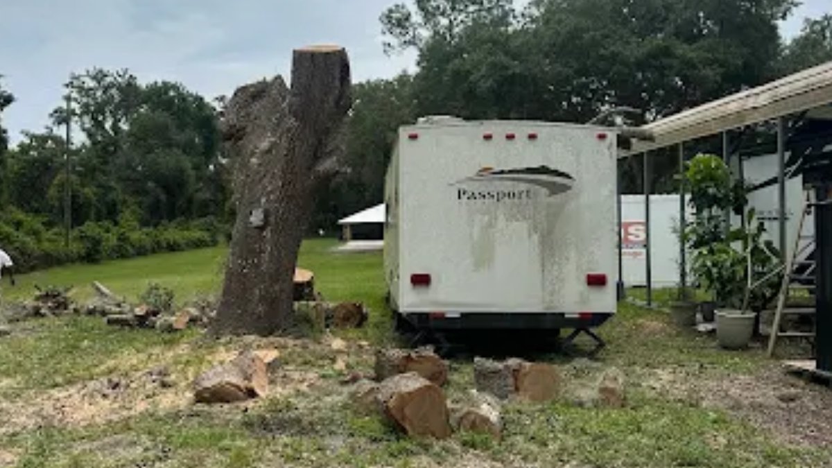 prioritytreecut's tweet photo. Every Tree We Remove Gets a Full Safety Assessment First

Every tree we remove gets a full safety assessment first. Priority Property Services FL checks lean, rot, limbs, and risk before we start work. Safe removal starts with smart planning.

#TreeRemoval #SafetyFirst https://t.co/SGEd00QFqW