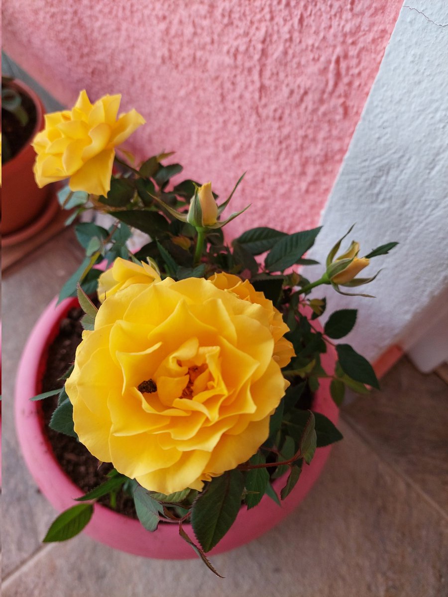 ΧΡΌΝΙΑ ΠΟΛΛΆ σε όλες της μαμάδες του κόσμου ♥️Να της χαιρόμαστε ♥️