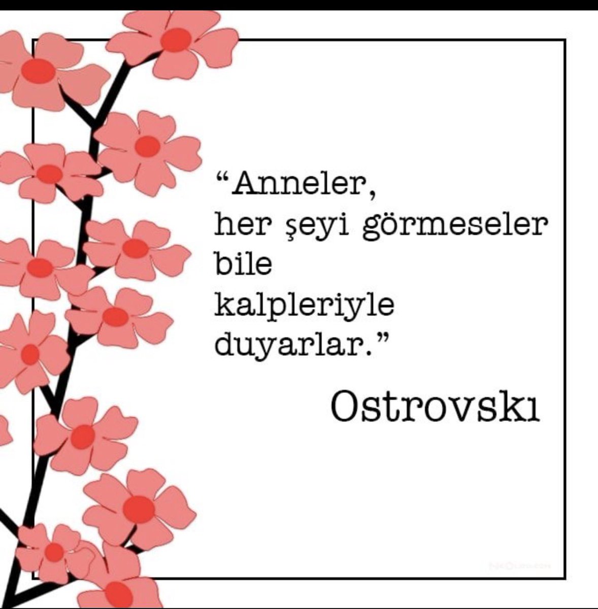 hfmb1987's tweet photo. #AnnelerGünü

Bir anne yetiştirir.. Dünya değişir. 

Başta Mustafa Kemal Atatürk’ün annesi #ZübeydeHanım, Annem ve Şehit Annelerimiz olmak üzere bütün annelerimizi saygı, sevgi, minnetle, vefat eden anneleri rahmetle anıyoruz.

Tüm annelerin #AnnelerGünü Kutlu Olsun. https://t.co/iPuoOpKdHM