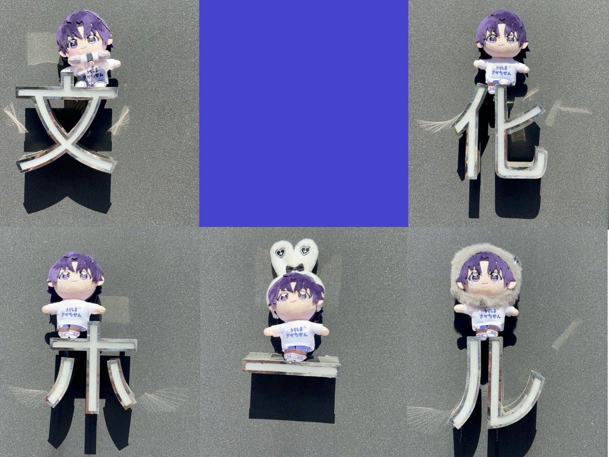 めだまやき。♔💜🐿 tweet media