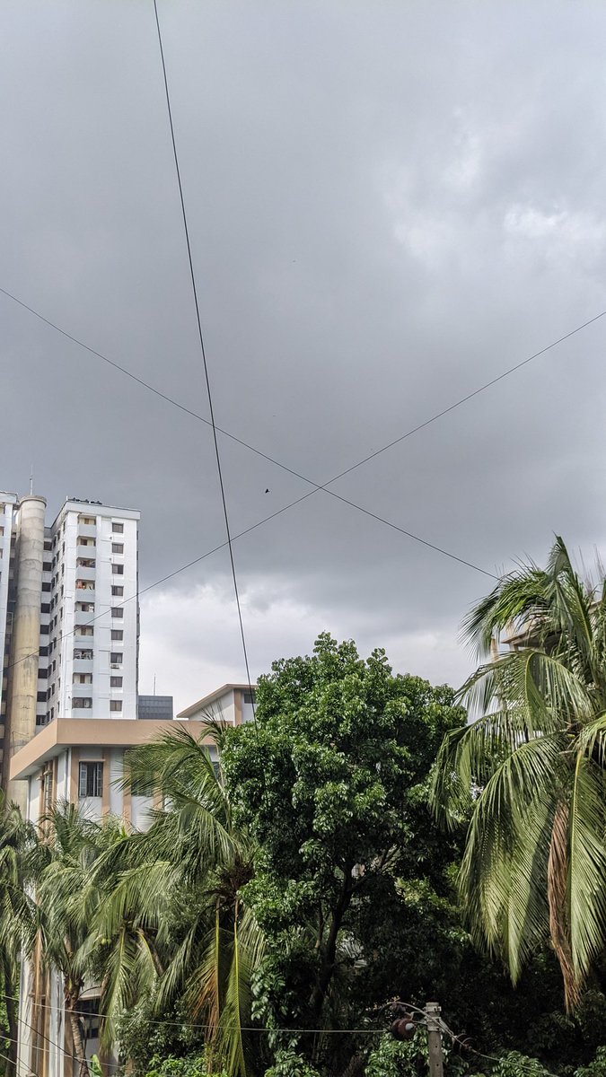 GardenOwne19328's tweet photo. Grey skies and green vibes. There's something so peaceful about the city right before the rain hits."
#CloudyDay #Cityscape #UrbanJungle #MoodyGrams #NatureInTheCity #Overcast #DhakaVibes #GloomyWeather https://t.co/wlwcRN8UuF