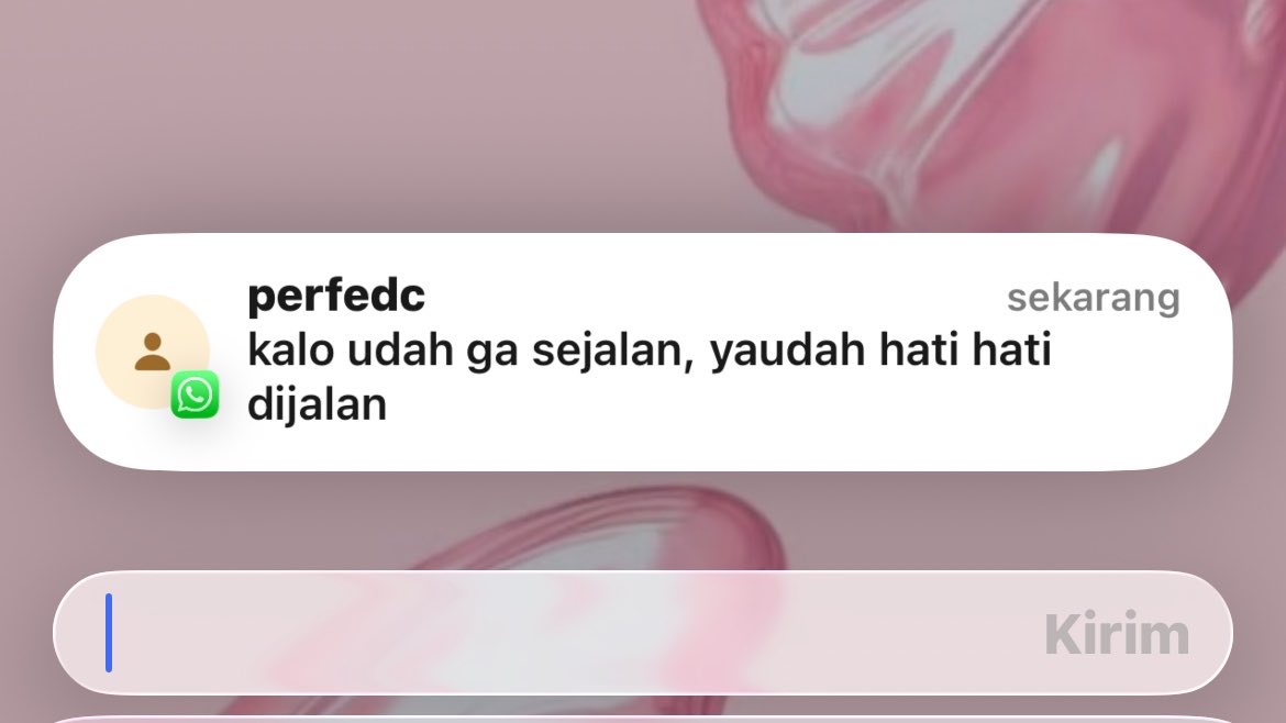 debby acelina tweet media