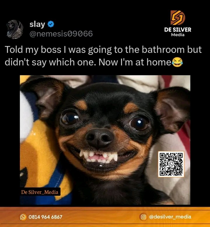 brig85060's tweet photo. 😂😂 https://t.co/Zhs4ngskHG