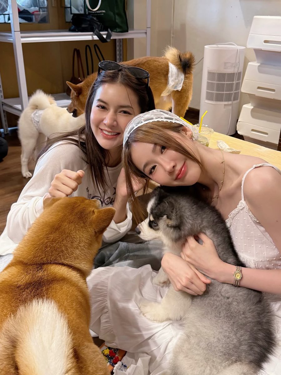 TungpangJessie_CNFC 🇨🇳 tweet media