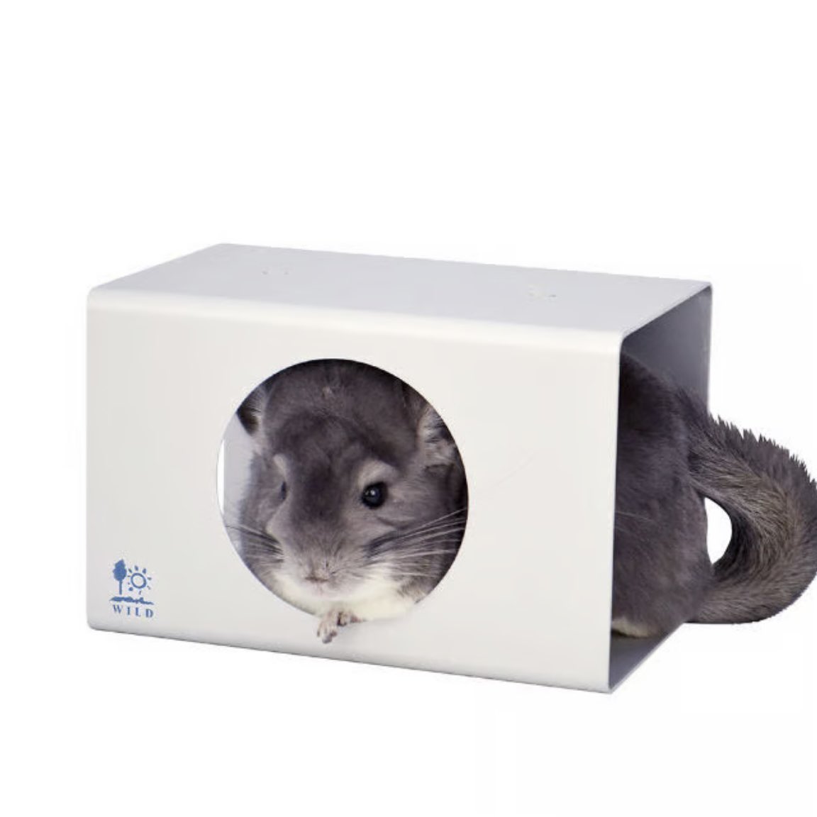 Royal Chinchilla（ロイヤルチンチラ） (@ChinchillaRoyal) / Posts / X
