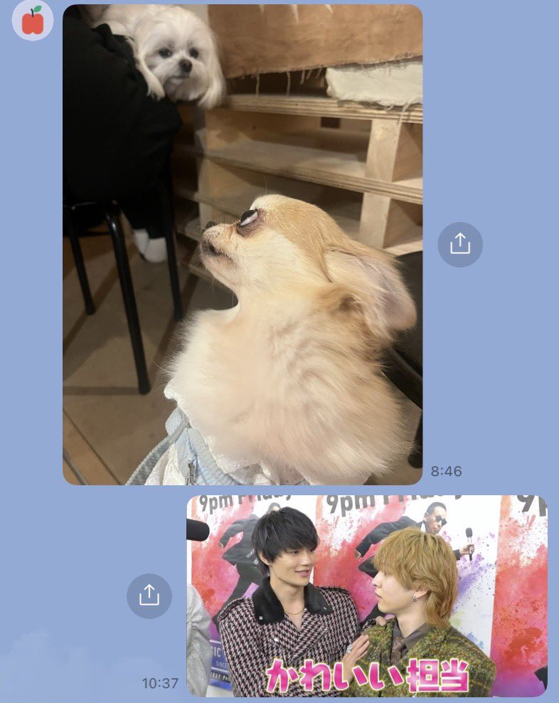 一之瀬 tweet media