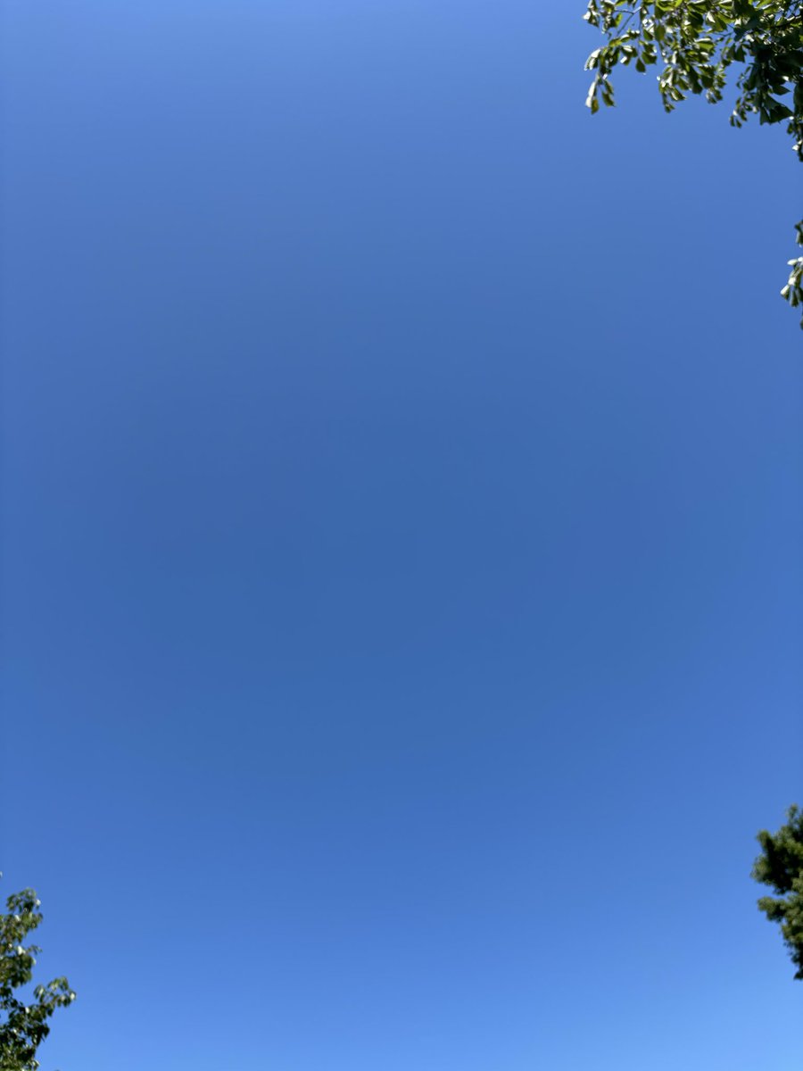 ❁⃘:*:みゆℳ𝒾𝓎𝓊❀:*: tweet media