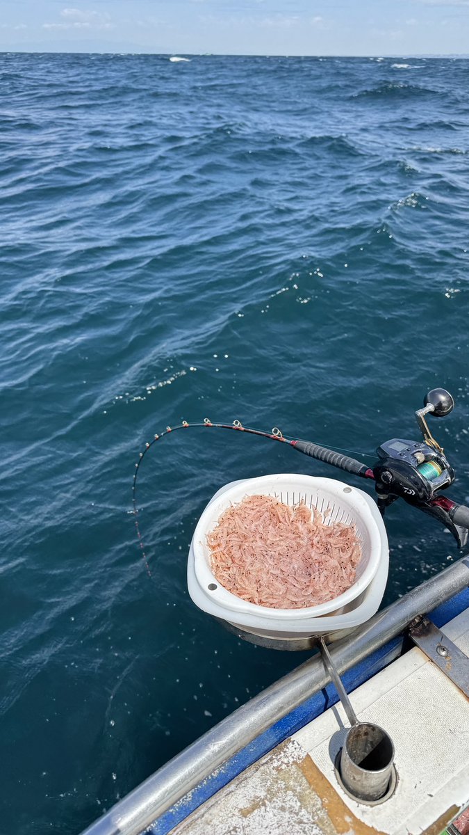 fishing_morry's tweet photo. 餌取り多数…😓
#三喜丸 https://t.co/Fk8z6u9rfk