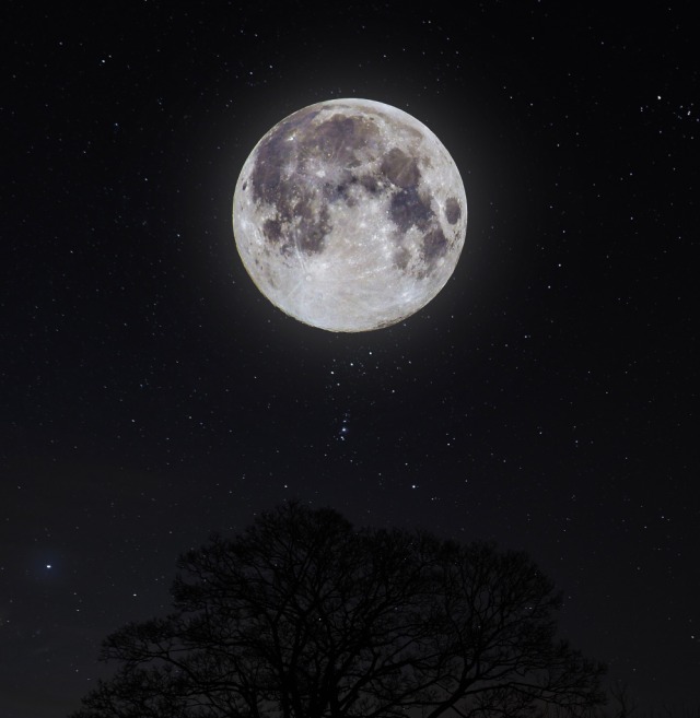 Mercastrology's tweet photo. Moon in all 12 Houses

1st House: Moon creates physical restlessness and very cut to cut communication style. These ppl are self-made and deeply attached to their mothers.

2nd House: Moon is at its strongest, these people are "money savers" who are deeply rooted in family traditions and  they love home-cooked food.

3rd House: Moon thrives on conversation and short travels but can struggle with over-sharing or restlessness.

4th House: Moon is a natural healer and homebody who excels in home based businesses but also fears leaving their comfort zone.

5th House: These natives are highly creative but often hides their talents behind a mask of discipline and parental rules.

6th House: This is a difficult placement where the mind often "looks for trouble," They can have digestive or liver issues. Also they are very sharp minded, observe things very fast as soon as enter in a room.  here, the remedy is to find joy in daily service.

7th House: the partner becomes the person's world, though they must watch for health issues like UTIs or kidney sensitivity.

8th House: Moon is the silent researcher here while emotionally isolated and secretive, they are masters of the occult and deep analysis. Often rises in life when something brutally ends or they complete surrender after a tough phase.

9th House: Moon is a devout scholar, often found in temples near water, possessing a deep emotional bond with their father and spiritual teachers.

10th House: Moon seeks a career fueled by passion rather than a corporate grind, often turning a hobby into a profession.

11th House: these ppl looks for "easy" income through networks and investments but needs to stay disciplined to reach their full potential.  

12th House: Moon is the traveler and seeker and drawn to foreign lands and spiritual moksha, though they must guard against aimless spending or addictions.

*If u find it informative then pls like, rt and follow the page🤍
 #AstroTwitter #moon #astrology #remedies