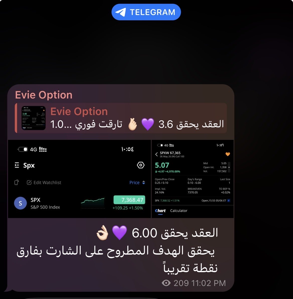 EVIE OPTION tweet media