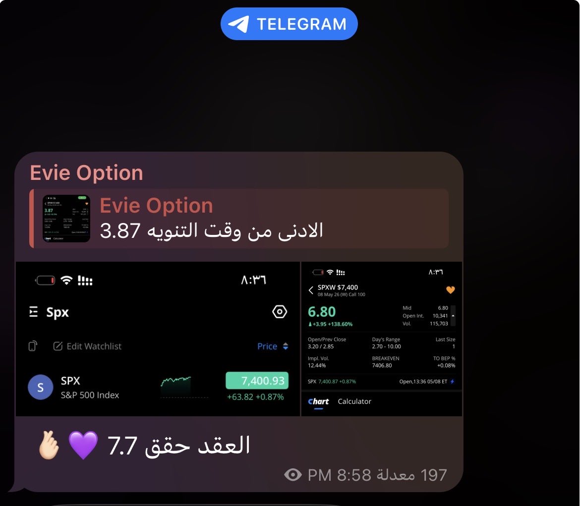 EVIE OPTION tweet media