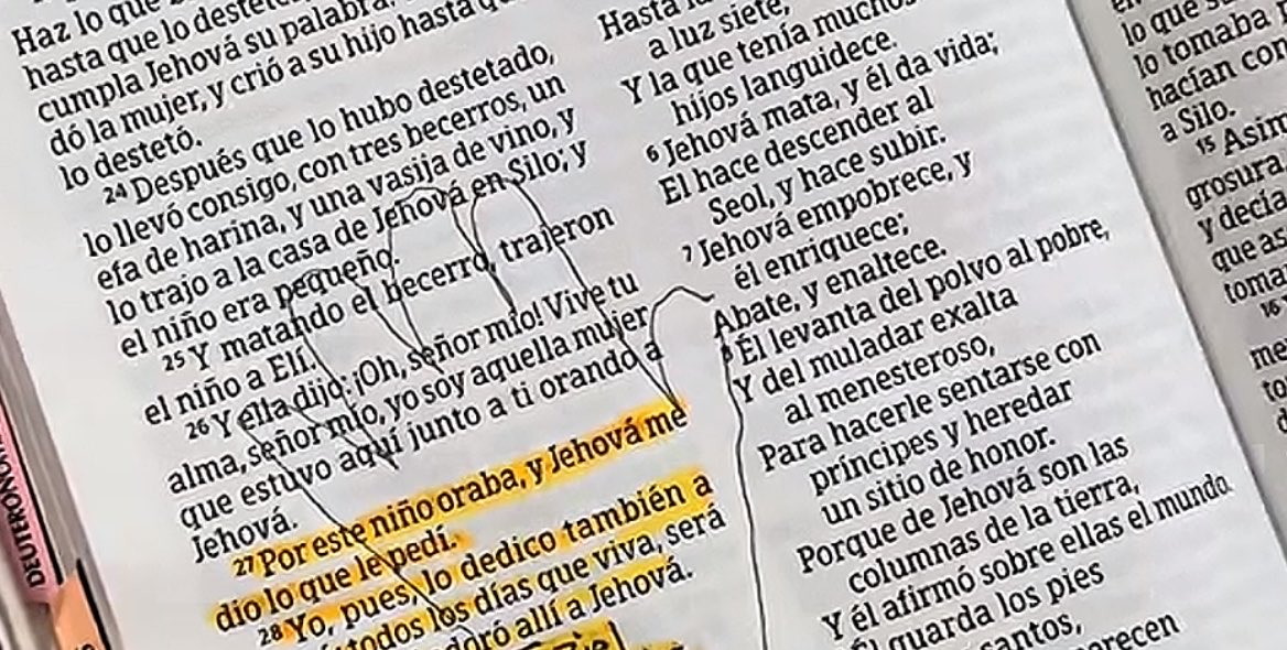 C E C I🪬 tweet media