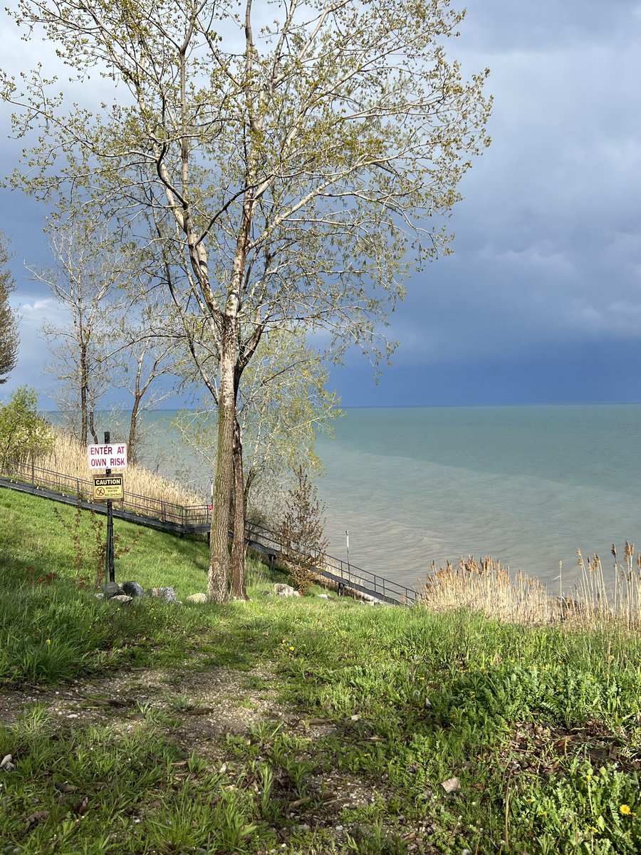 Phos³ 🇨🇦 | 📷, WX ⛈️⚡️🌪️, NFT’s tweet media