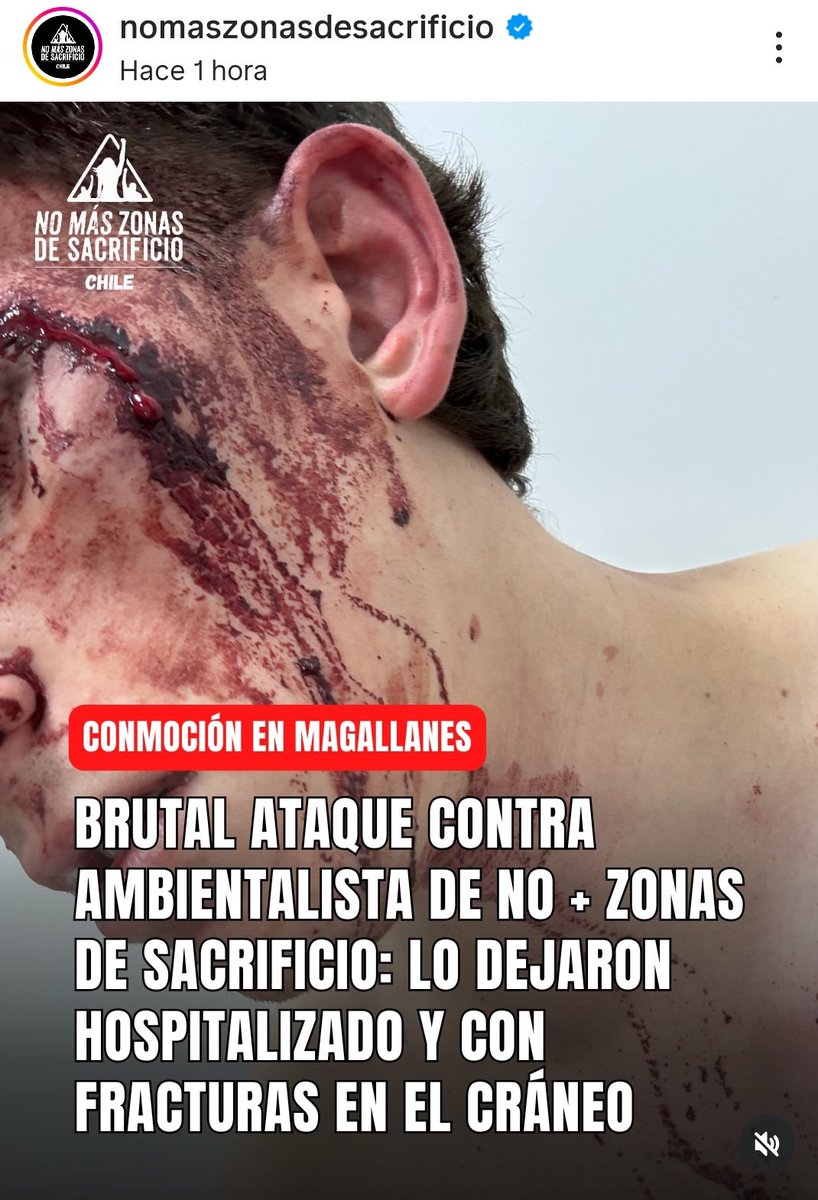 Alicia Reportera del Pueblo tweet media