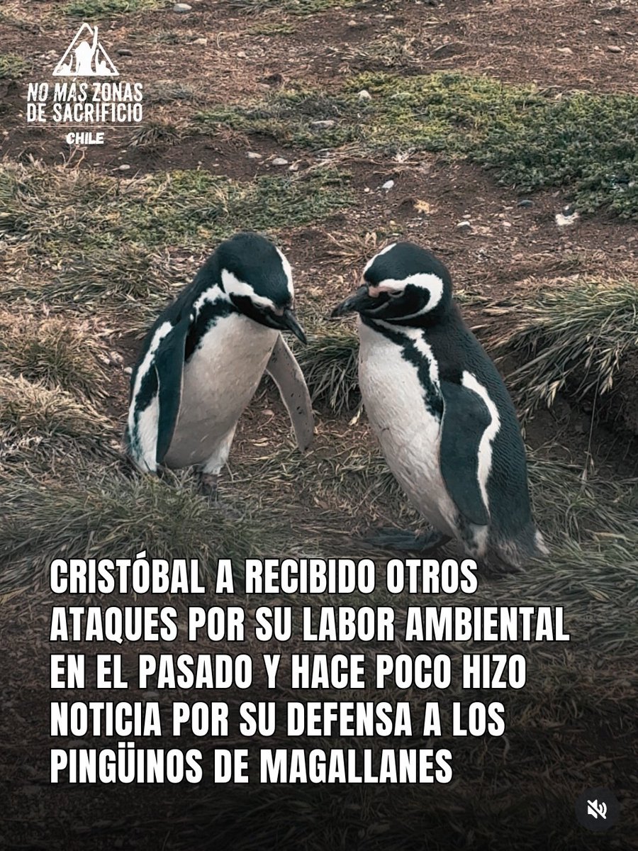 Alicia Reportera del Pueblo tweet media
