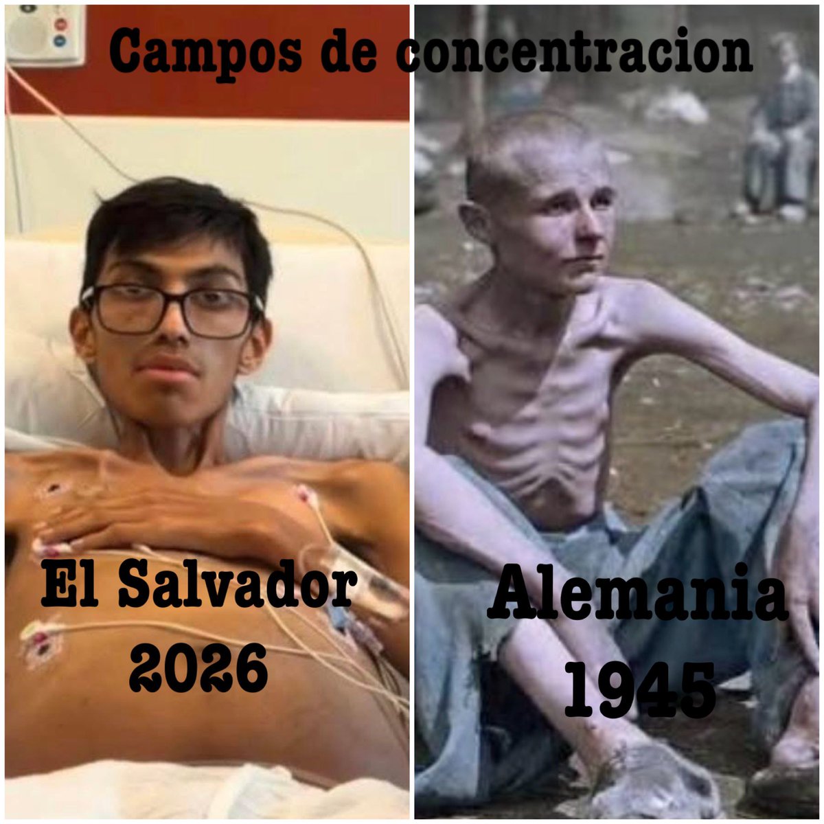 gavilan tweet media