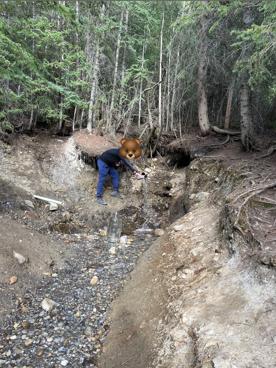 liftingcapital's tweet photo. This little bean has been all over Alberta https://t.co/MBZAGmhATT