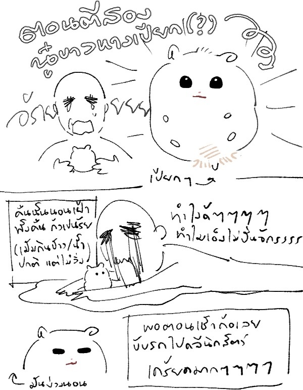 nooohamദ്ദി ˉ͈̀꒳ˉ͈́ )🍑 tweet media