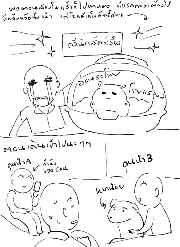 nooohamദ്ദി ˉ͈̀꒳ˉ͈́ )🍑 tweet media