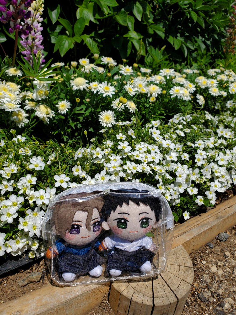 akaneyupi's tweet photo. もうすぐ愁の誕生日なので藤で有名なあしかがフラワーパークに行ってきました
紫や白藤の開花時期は終わっていたけど きばな藤のトンネルをくぐり季節の花々の香りに包まれてきました
お土産で買った藤のお菓子も美味しかったです https://t.co/MA1tD7y5ut