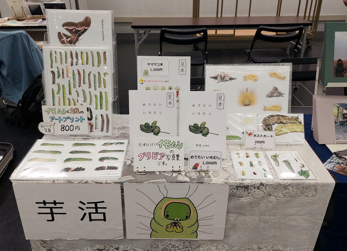 スタートしました！
ご来場お待ちしています🐛