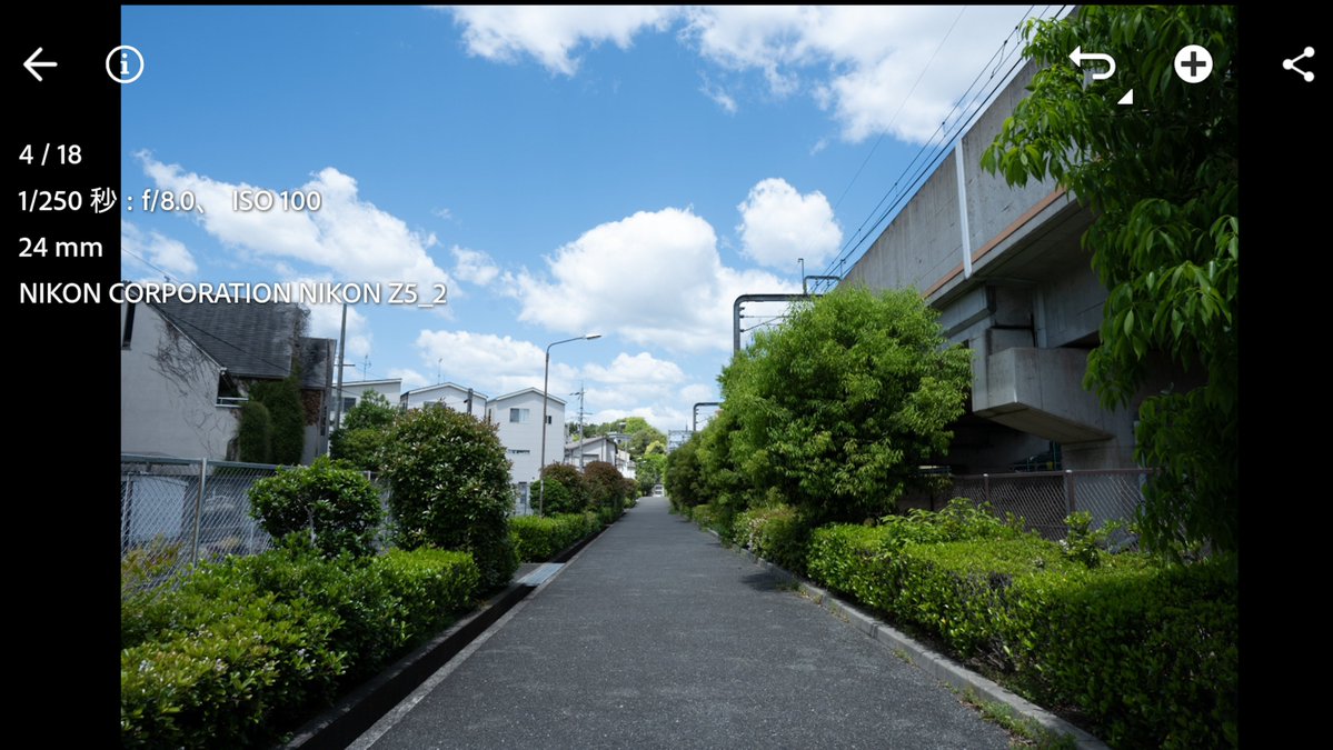 ペやんぐ(カメラ) tweet media