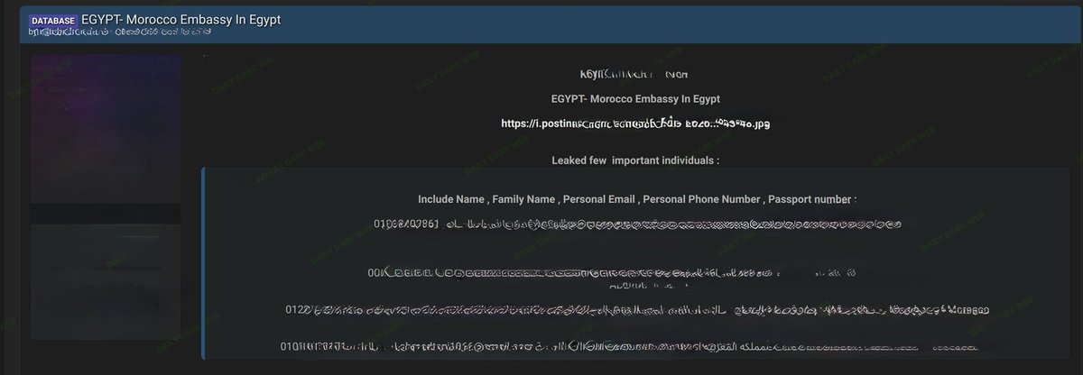 Dark Web Intelligence tweet media