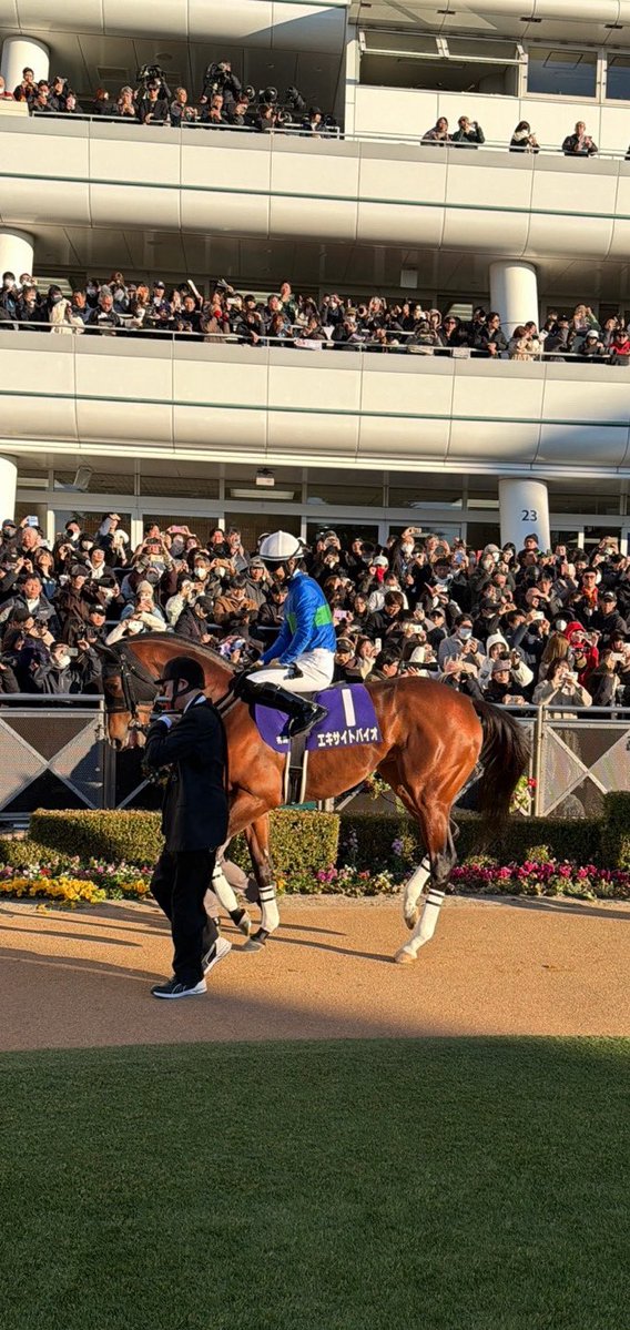 エキサイトバイオについてお話しします。

エキサイトバイオの馬主様が、4月に逝去されました。  
私自身、仲良くさせていただいていた方でもあり、今もとてもショックな気持ちでいっぱいです。