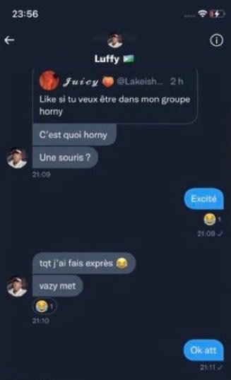 🐁🐭