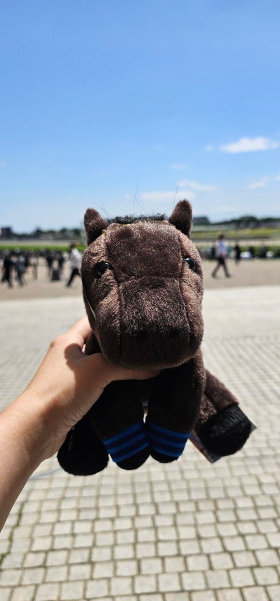 Yoitsu Velvet 🐴🎀✨️ tweet media