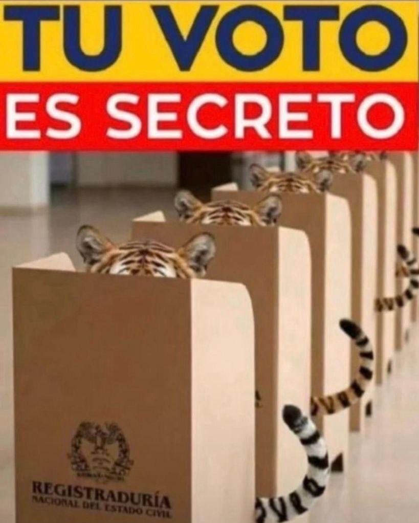La República tweet media