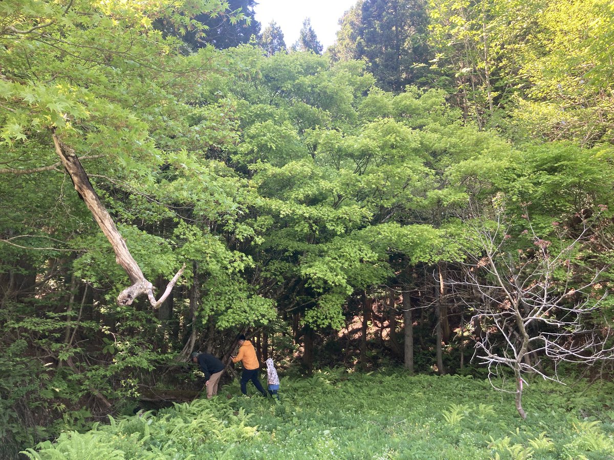 i_kin_ye02's tweet photo. 山形でも泥を掘り当て「すごいきれいな粘土土！」と掘りまくる息子とつい泥団子を作って「良質な土じゃ！」と興奮して土を持って帰えってしまった私。40半ばで何してるのでしょう。美しい場所の土の泥団子のピカピカさよ。 https://t.co/t7Dlklg1w3