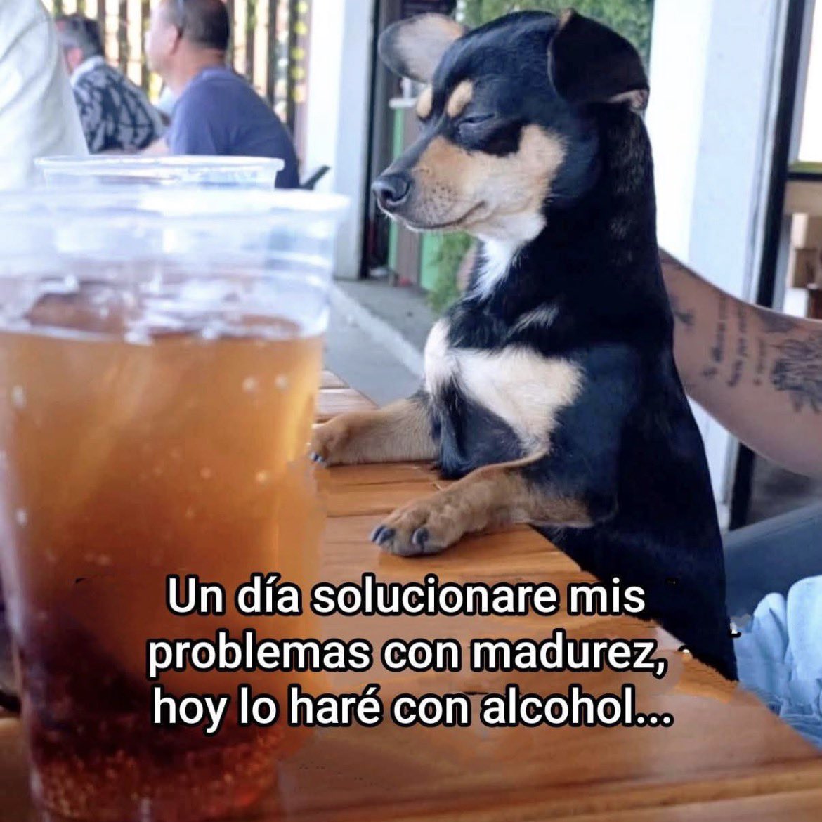 Por lo pronto, saludddd … 🍻