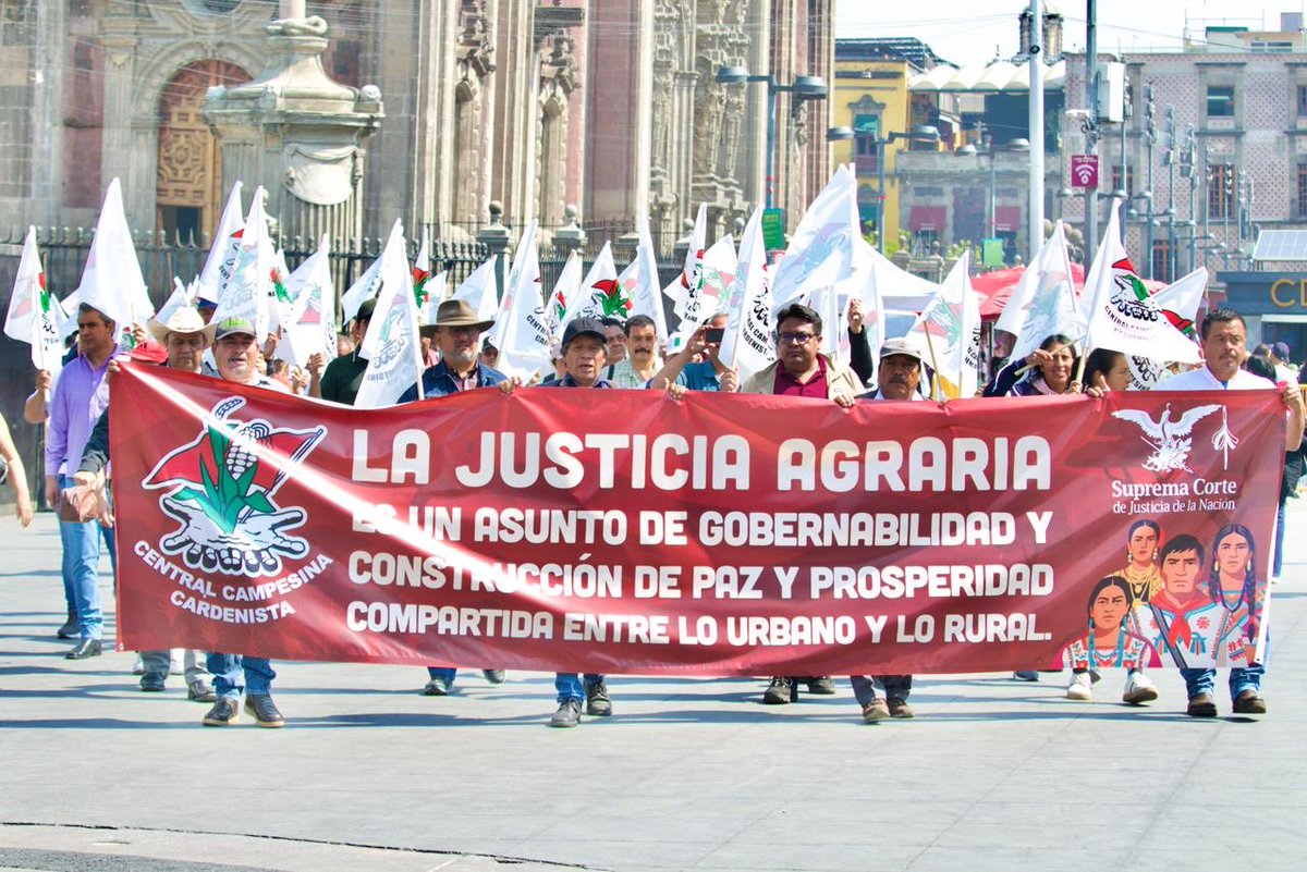 Max Correa tweet media