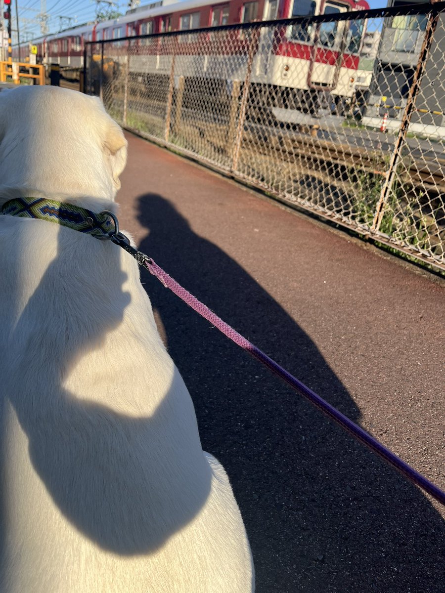 ⭐︎Chike⭐︎ tweet media