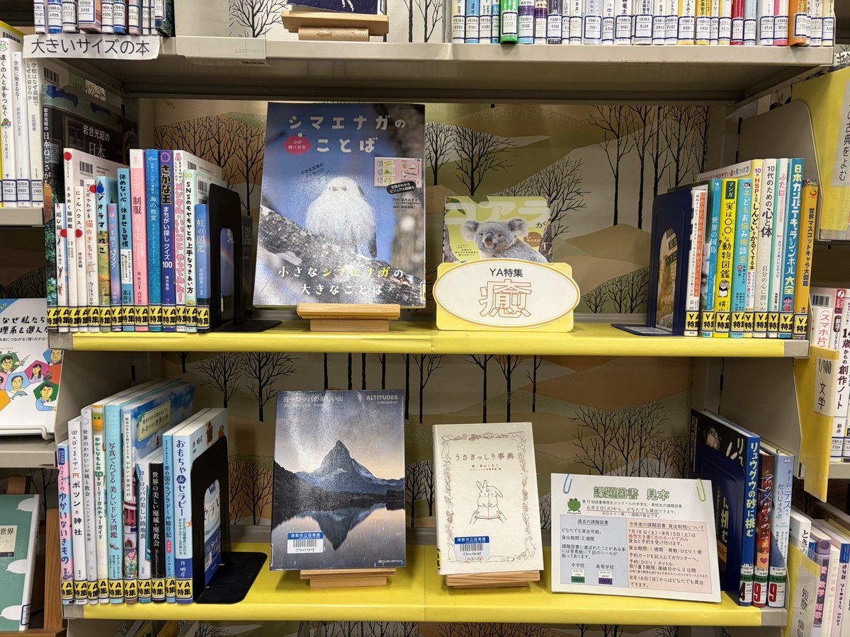 Book_Partner's tweet photo. 蒲郡市立図書館です。YAコーナー5月の特集は「癒」です。動物や風景写真、メンタルケアの本を集めました。
#蒲郡 #図書館 https://t.co/cGxo6OdDXD