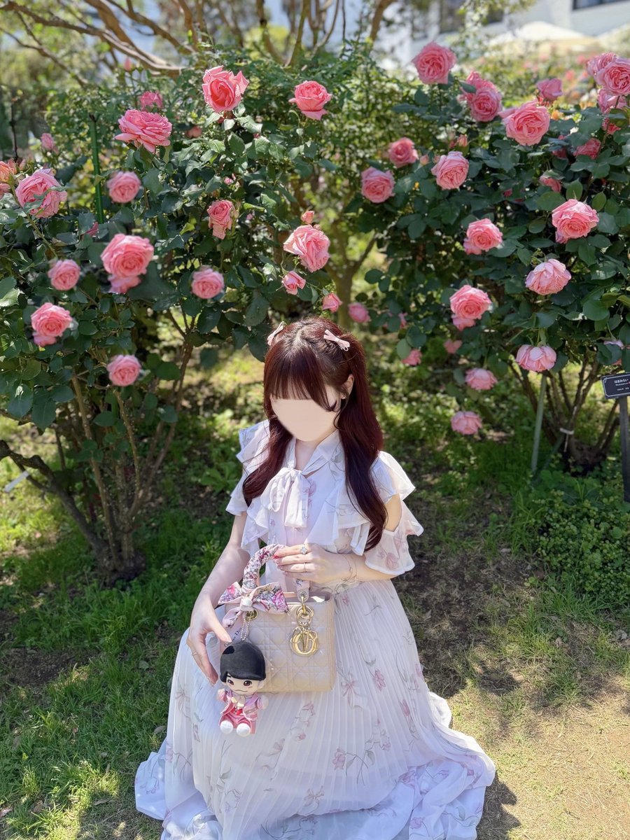 あかねちゃん (@akanechan311) / Posts / X