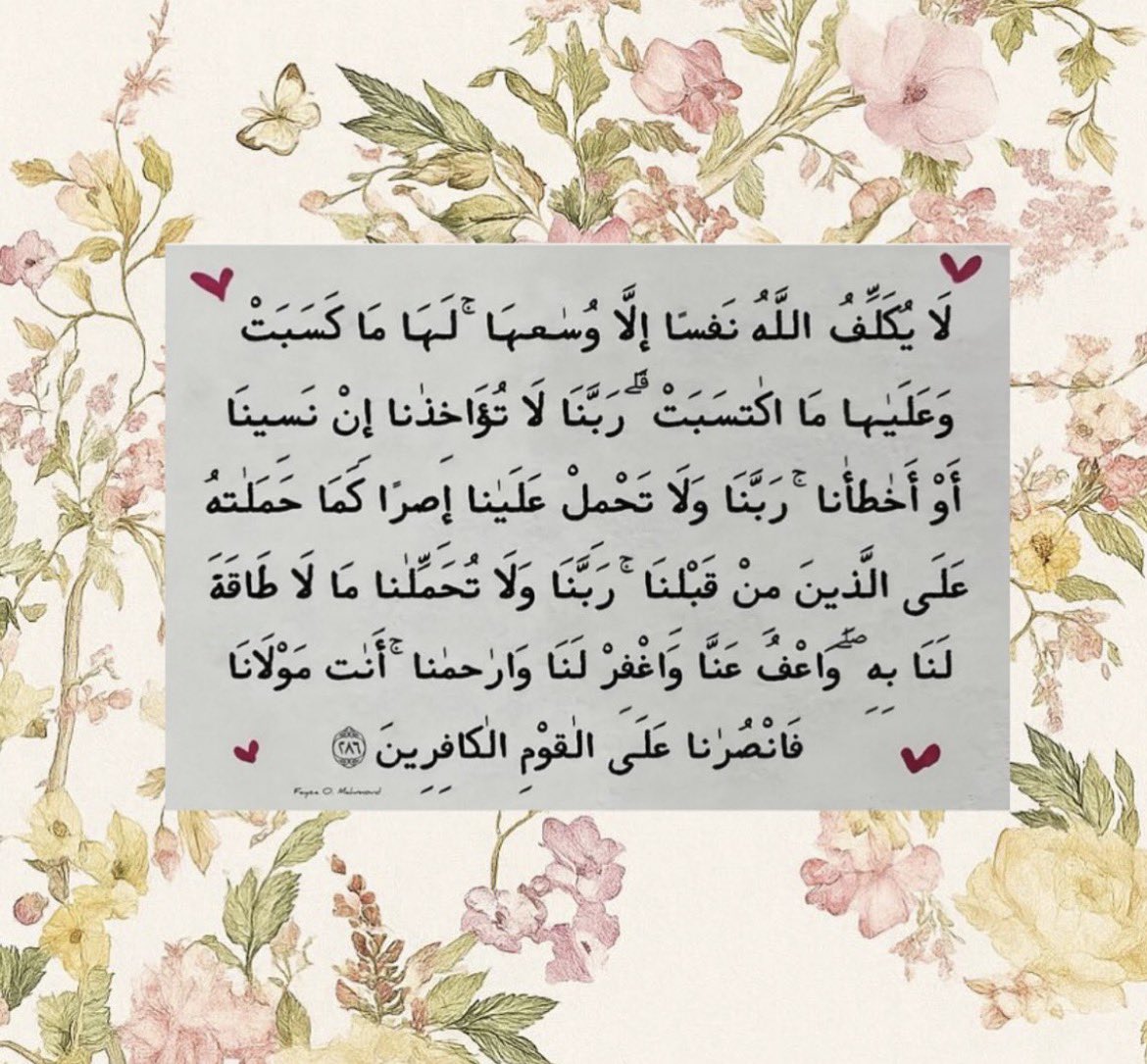 جُرعات تَحفيزِ tweet media