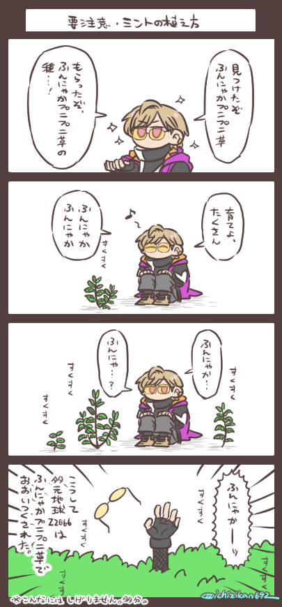 要注意・ミントの植え方 あなどるな、繁殖力。 