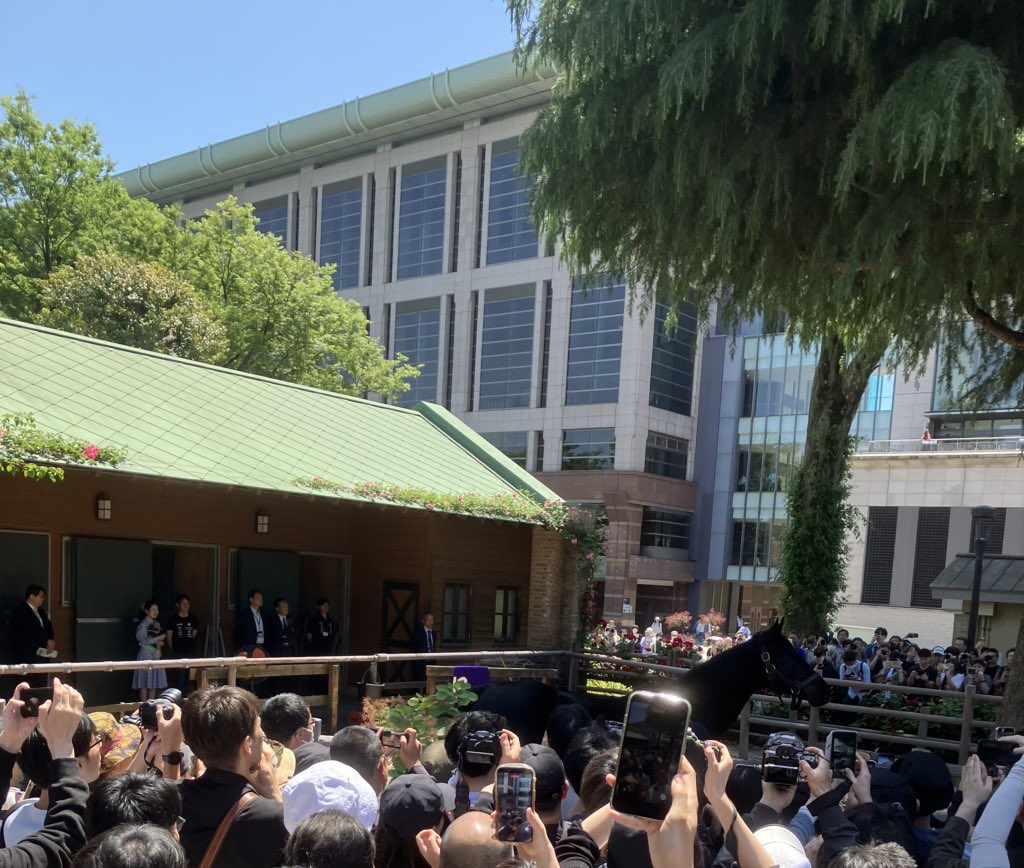 serik198's tweet photo. エイシンフラッシュ https://t.co/cw5Ns7hNav