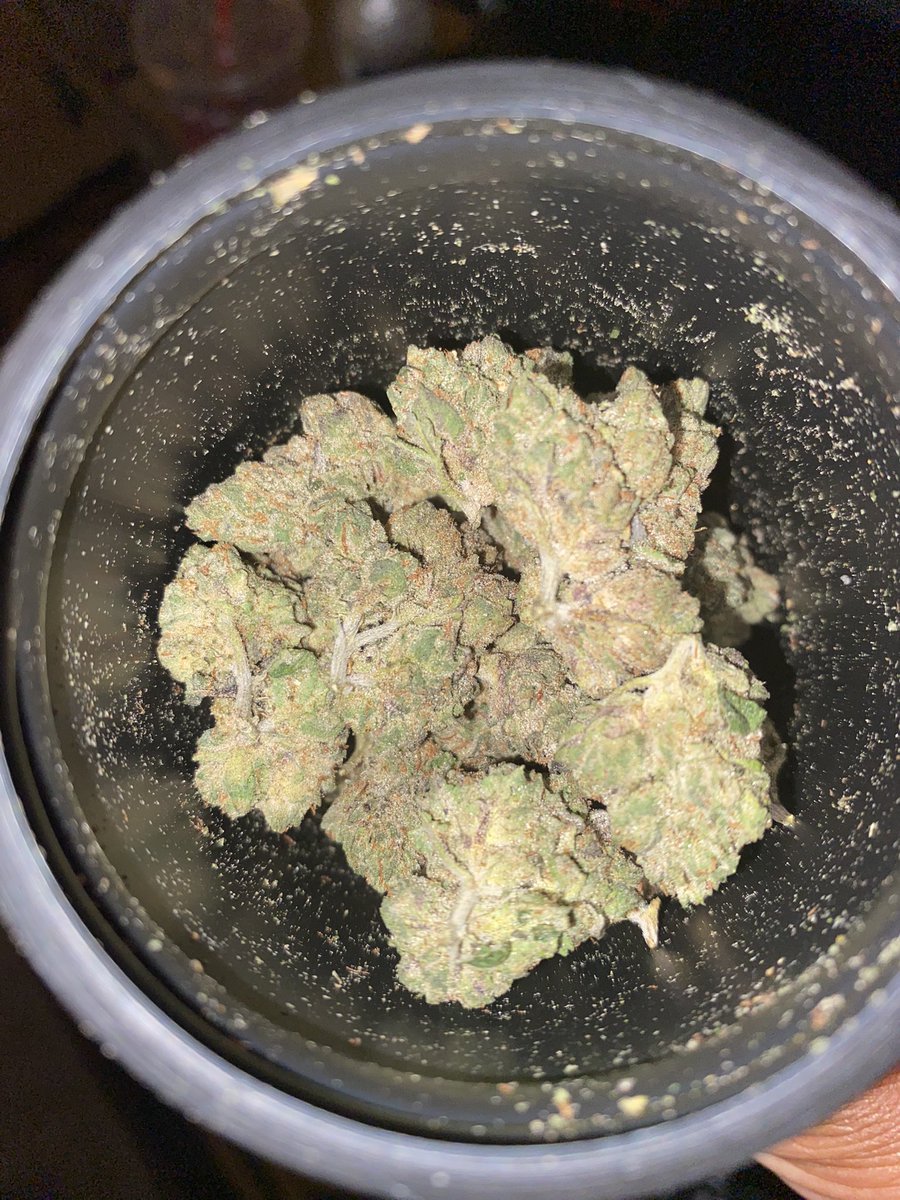 ThaWeedGod's tweet photo. #glofarms came thru with the #dirtytaxi this is some shit fire lol #thaweedgod 😶‍🌫️⛽️💨 https://t.co/Hw0kWip06P